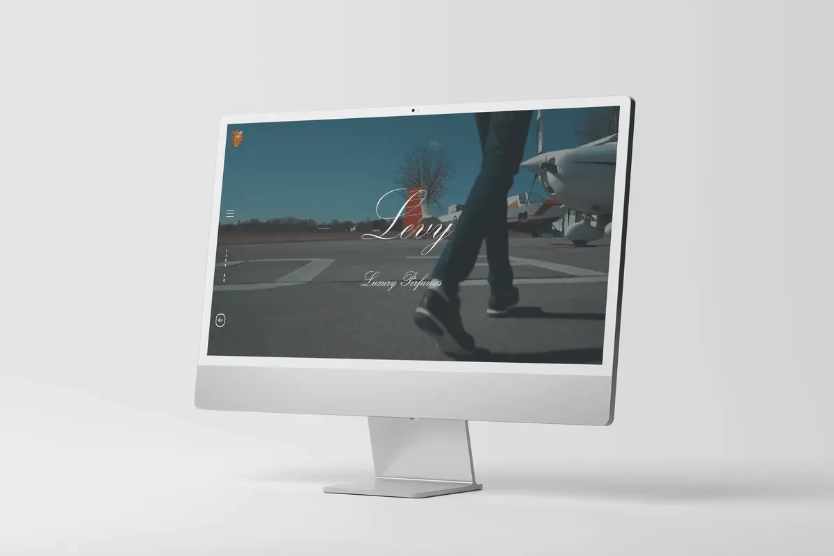 Layfron.hr - Projekt Levy